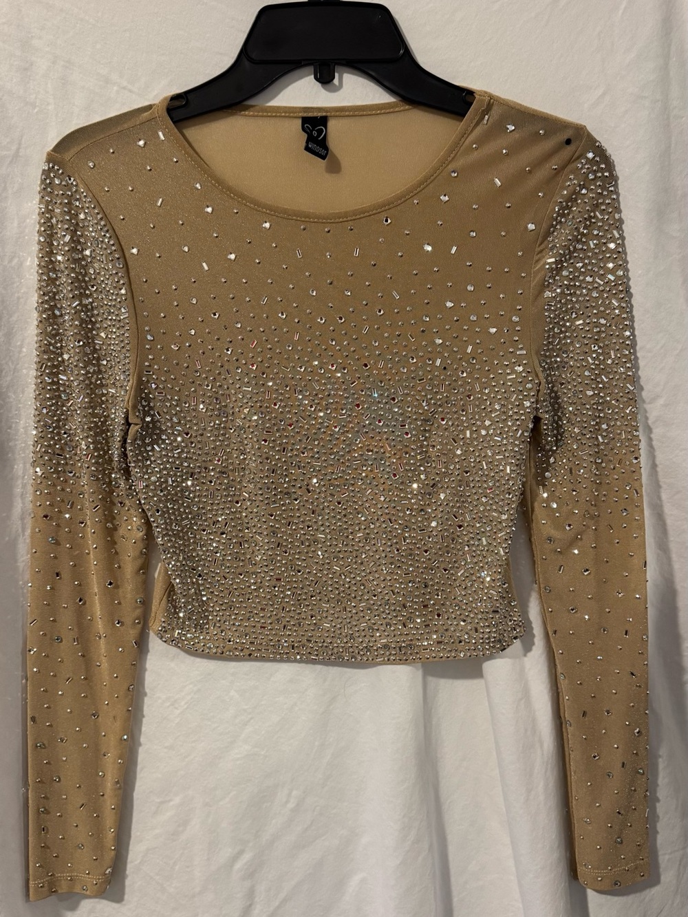 Windsor Rhinestone Embellished Nude Long-Sleeve Crop Top